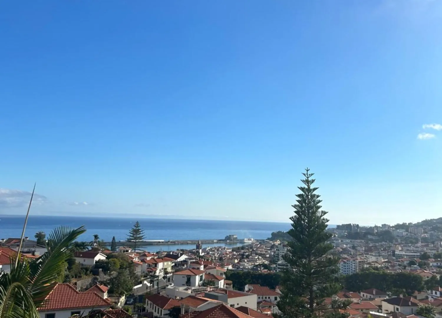 Funchal Casa 2 아파트